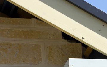 soffit repair South Green