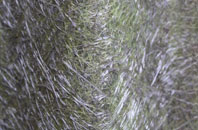 South Green fibreglass roof work